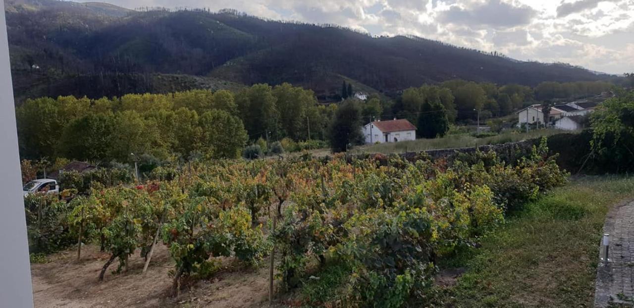 Villa Alzira Сейя Экстерьер фото