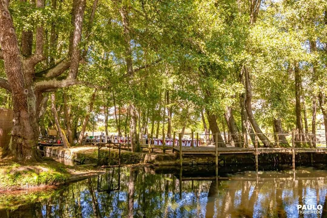 Villa Alzira Сейя Экстерьер фото
